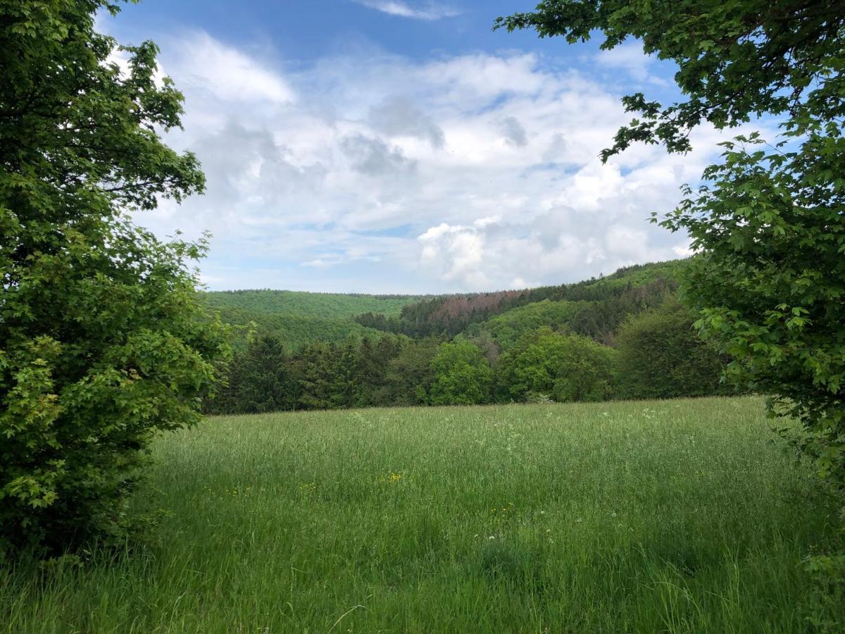 Ferienhaus Waldbaden Im Nationalpark Eifel- Am Bach Шлайден Екстериор снимка