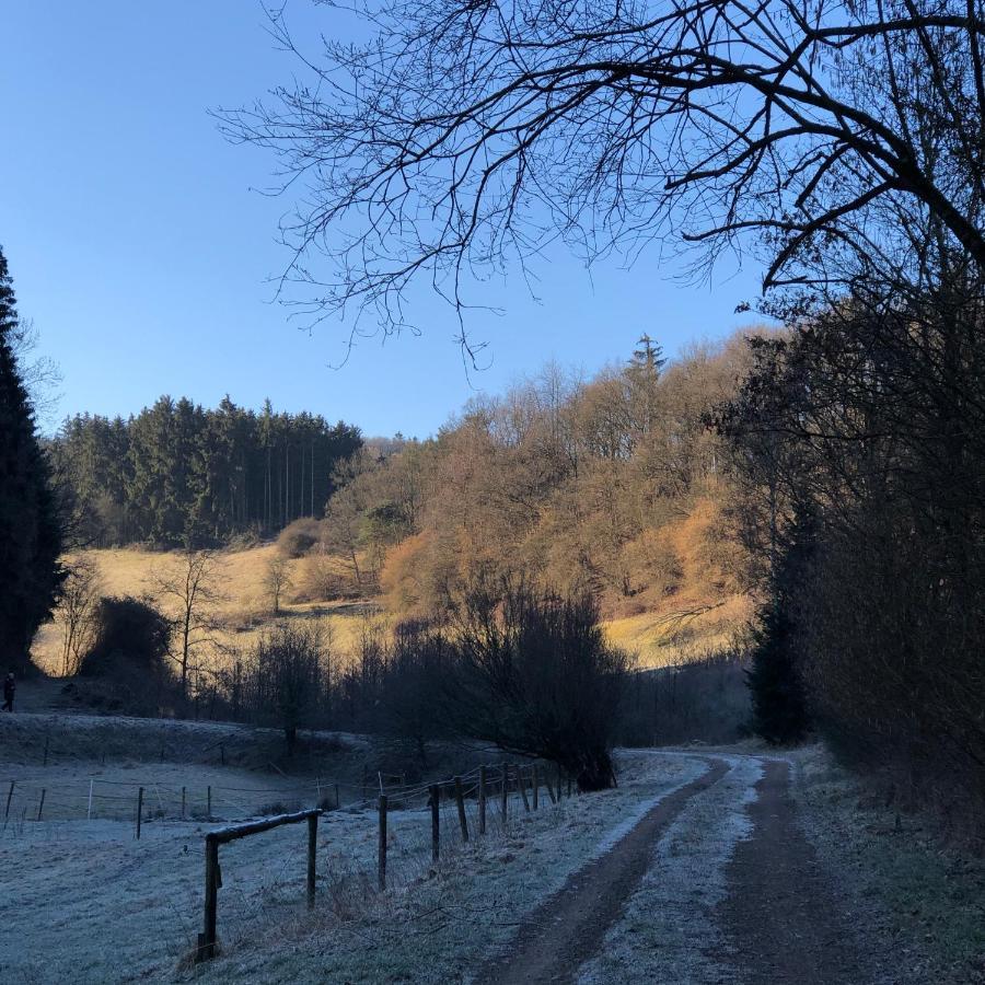 Ferienhaus Waldbaden Im Nationalpark Eifel- Am Bach Шлайден Екстериор снимка