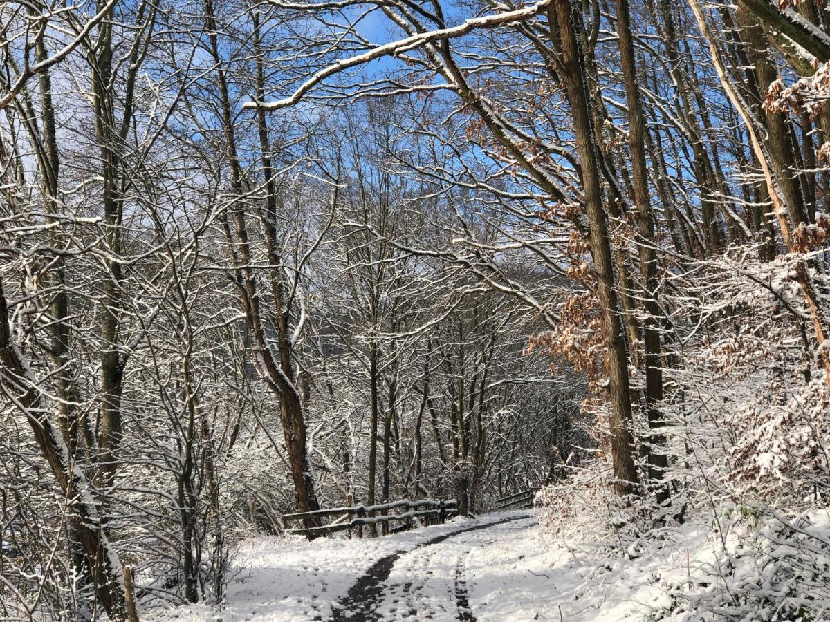 Ferienhaus Waldbaden Im Nationalpark Eifel- Am Bach Шлайден Екстериор снимка